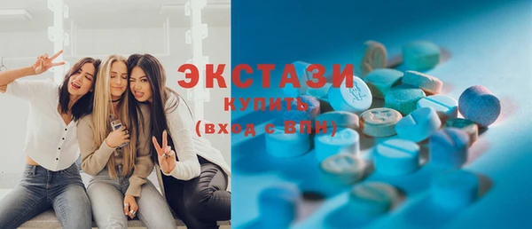круглые Гусев