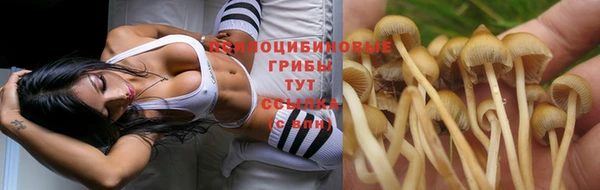 хмурый Вязники