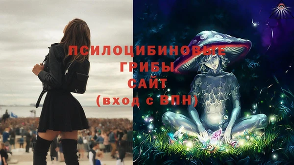 спайс Волоколамск