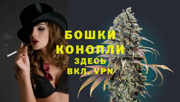 МДПВ Вязьма