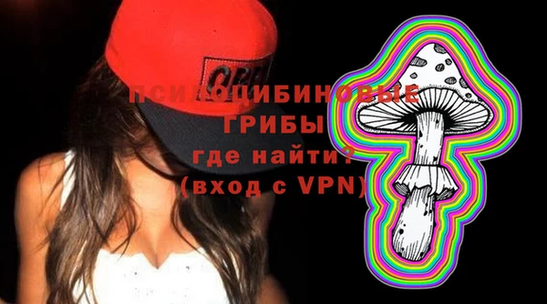 хмурый Вязники