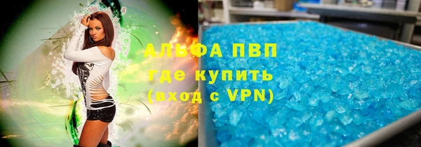 круглые Гусев