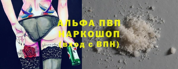 круглые Гусев