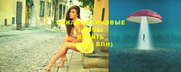 марихуана Гусиноозёрск