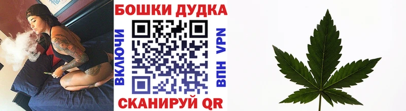 купить закладку  Железноводск  дарк нет состав  Шишки марихуана семена 